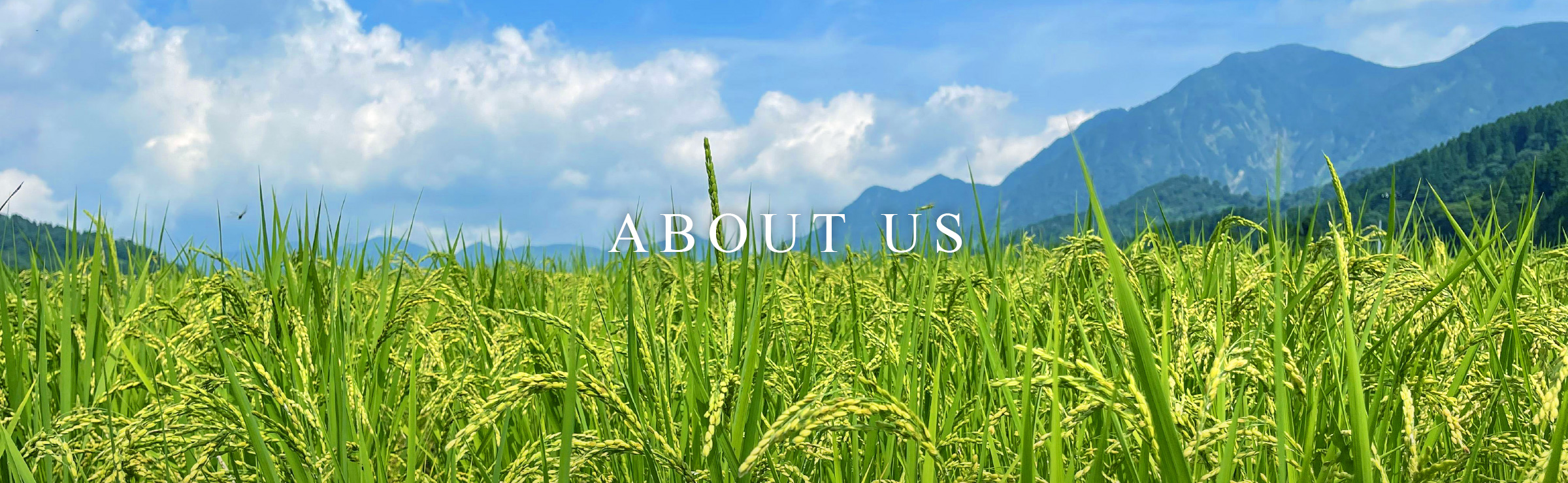 メインビジュアル