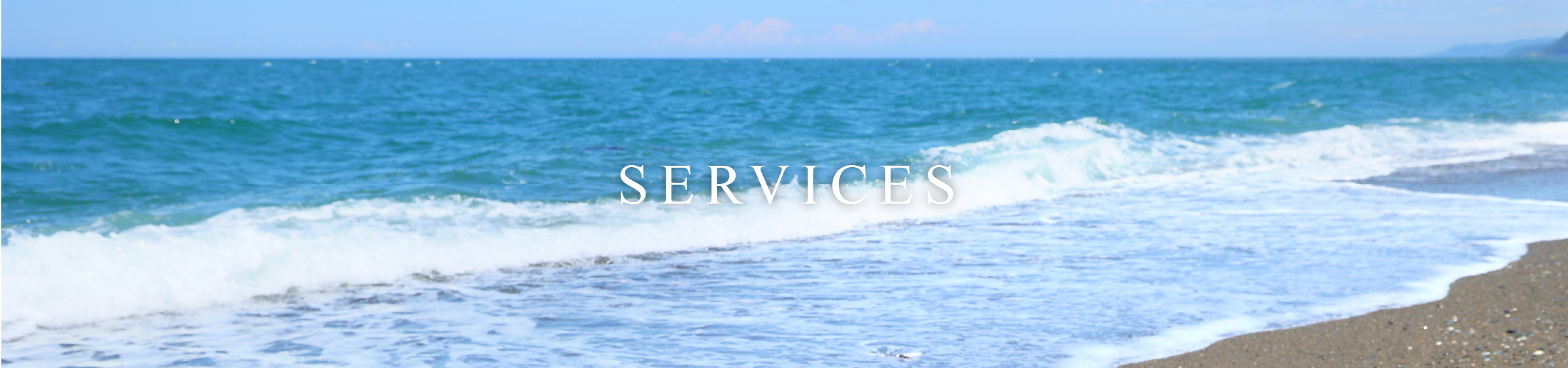 SERVICES
