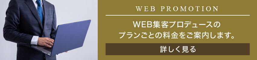 WEB PROMOTION WEB集客プロデュースのプランごとの料金をご案内します。詳しく見る
